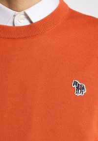 Pull en maille orange porté par-dessus une chemise blanche à col, avec un petit zèbre multicolore brodé sur la poitrine.