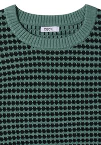 Grüner Strickpullover mit einem strukturierten Muster und schwarzen Akzenten. Gerippter Rundhalsausschnitt. Etikett trägt die Aufschrift "CECIL."
