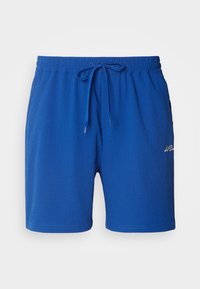 STAN SWIM 2.0 - Šortky - surf blue
