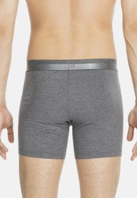 Boxer shorts in cotone grigio con un elastico argentato in vita, caratterizzati da una texture liscia e un design aderente, visti da dietro.