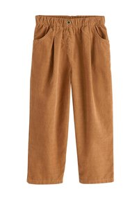 Pantaloni a gamba larga in velluto a coste marrone con vita elastica, due tasche laterali e pieghe sottili davanti per una texture aggiuntiva.