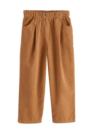 Pantalons larges en velours côtelé marron avec une taille élastique, deux poches latérales et des plis subtils à l'avant pour une texture ajoutée.