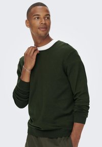Donkergroene sweatshirt met ronde hals in een katoenen mix, met lange mouwen, ribgebreide manchetten en een witte binnenkraag. Vriendelijke textuur en reguliere pasvorm.