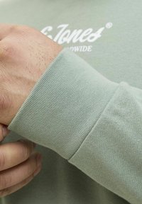 Hellegrünes Langarmshirt mit gerippten Bündchen und glatter Textur. Verfügt über Markenlogo in Weiß auf der Brust.