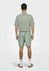 Only & Sons ONSTEL LIFE NOOS - Kratke hlače - iceberg green