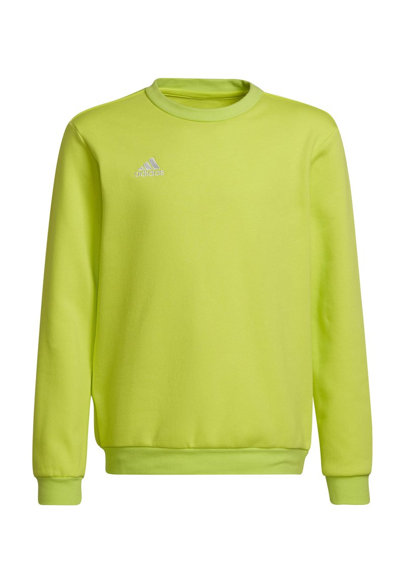 adidas Performance FUSSBALL TEAMSPORT ENTR - Felpa - gruen