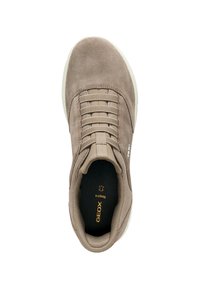 Sneaker in suede beige con design delle stringhe elastiche, punta rotonda e suola in gomma bianca. All'interno si trova una soletta con motivo e il nome del brand.