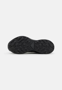 Nike Performance PEGASUS TRAIL 3 GTX - Sapatilhas de trail running - black/dark smoke grey/iron grey