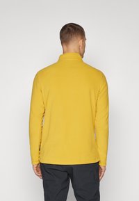 Jack Wolfskin TAUNUS - Fleecepullover - curry