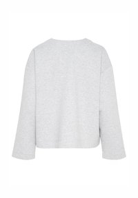 Grå cropped sweatshirt med sænkede skuldrer, lange ærmer og en blød tekstur. Enkel design uden synlige logoer eller mønstre.