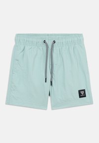 Nem kiválasztott, mist