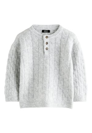 Next REGULAR FIT HENLEY - Maglione - grey