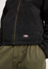 Dickies EISENHOWER - Giacca in pile - black
