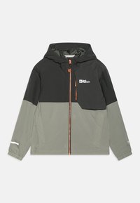 Jack Wolfskin - ACTAMIC - Veekindel jope - mint leaf Väikepilt 1