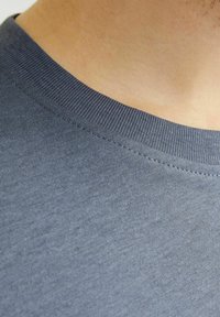 Jack & Jones GEDRUCKT RUNDHALS - T-shirt con stampa - flint stone