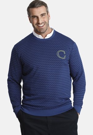 Blauer Pullover mit Zickzackmuster, geripptem Ausschnitt und Bündchen sowie einem kleinen grünen gestickten Logo auf der Brust.