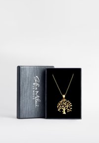 Ciondolo albero della vita in oro su una delicata catena, esposto in una scatola foderata in velluto nero con un logo argento sul coperchio.