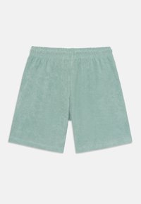 Pantaloni corti in spugna di colore verde chiaro, con una vita elastica e design semplice. La texture del tessuto sembra morbida e assorbente.