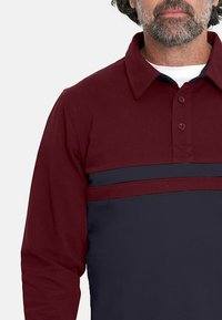 Camisa polo de manga larga color marrón con una franja horizontal azul marino en el pecho. Presenta un cuello con solapa y una botonera. Textura suave.