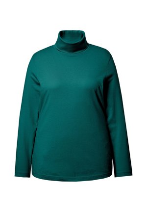 Tyrkysový rolák vyrobený z měkké, elastické látky. Dlouhé rukávy, přiléhavý výstřih a hladká textura s jednoduchým vzhledem.