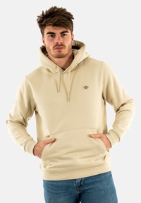 Dickies OAKPORT HOODIE - Sweatshirt com capuz - cement