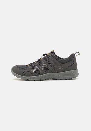 TERRACRUISE LT M - Trainers - magnet
