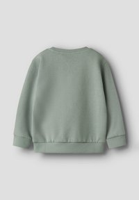Mintgrüner Sweatshirt mit rundem Halsausschnitt, gerippten Bündchen und Saum. Weicher Baumwollstoff mit glatter Textur und ohne sichtbare Muster.