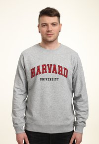Šedá mikina s nápisem "HARVARD UNIVERSITY" v červeném a černém písmu, kulatým výstřihem a dlouhými rukávy. Hladká textilie.