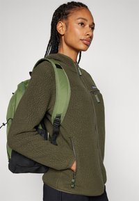 Patagonia RETRO HOODY - Flīsa jaka - pine needle green