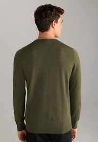 Olive green knit sweater with long sleeves, round neck, and ribbed trim at cuffs and hem, displayed from the back, featuring a smooth texture.
