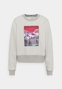 Svetle šedá zkrácená mikina s žebrovanými manžetami a lemem, se vzorem barevné horské krajiny umístěným uprostřed přední části.