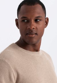 Beige gestrickter Pullover mit rundem Ausschnitt. Mit strukturiertem Stoff und gerippten Bündchen, getragen von einem Modell vor einem hellen Hintergrund.
