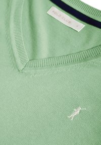 Pull vert clair à col en V avec un petit logo de joueur de polo blanc brodé sur la poitrine et une étiquette Polo Club à l'intérieur du col.