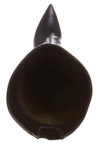 Stivaletto alla caviglia in pelle nera con punta appuntita, texture liscia e ampio apertura. L'interno è scuro, senza fodera o motivi visibili.