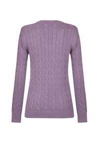 Maglione a treccia di colore viola chiaro. Maniche lunghe, scollatura a girocollo, orlo e polsini a costine. Motivo testurizzato su tutta la superficie del tessuto.