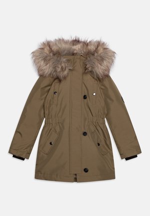 Winter coat - aloe/light grey