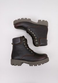 Panama Jack CODY - Botines con cordones - brown