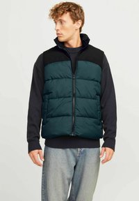 Gilet verde con pannello superiore nero, chiusura con zip e colletto alto. Indossato sopra un maglione scuro, abbinato a jeans chiari. Design casual.