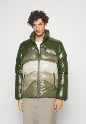 Save the duck SATYRIUM - Veste d'hiver - green/beige