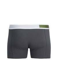 Shorts de boxeur gris avec une taille blanche mettant en valeur une rayure accentuée verte. Texture lisse avec des détails de couture le long des coutures.