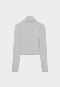 Pull court gris clair à manches longues avec un col roulé haut, présenté à plat vu de dos sur un fond uni.