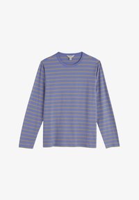 Vybráno, blue breton bluebell