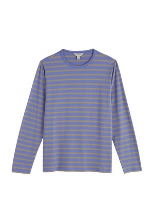 Pikkade varrukatega särk helesinakashallides toonides, millel on horisontaalsed oliivrohelised triibud. Pehme kangas, ümarsuu kaelus, lõdvestunud lõige, ilma erilise kujunduseta.