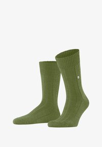 Unausgewählt, cactus