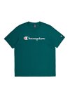 ICONS CREWNECK LARGE LOGO - Camiseta estampada - avt