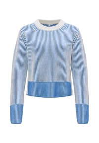 Pull en maille bleu et blanc à rayures verticales avec poignets, ourlet et encolure ronde côtelés.