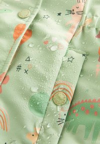 Next CHARACTER REGULAR FIT - Zimní kabát - sage green