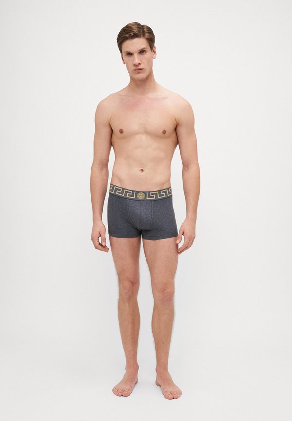 TRUNK TOPEKA NEW LOGO - Trunks3