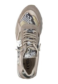 Cetti SNEAKER LOW - Trainers - dessert