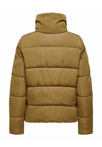 Brązowa kurtka puchowa z wysokim kołnierzem, prostokątnym kształtem i pikowanym wzorem. Gładka tekstura i ocieplane sekcje zapewniają izolację.